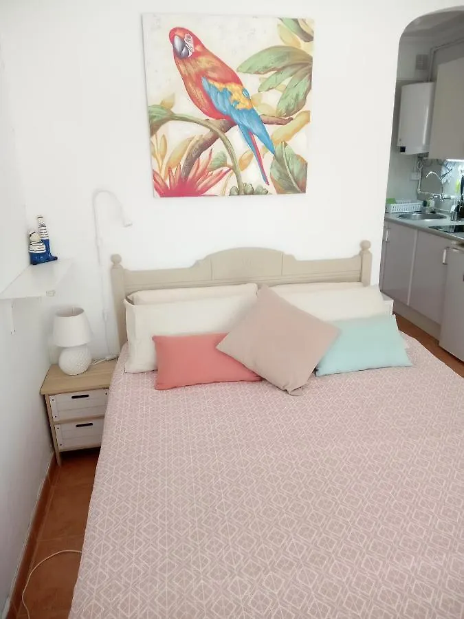 Luminoso Y Tranquilo Estudio Zona Botanico بويرتو ذي لا كروز