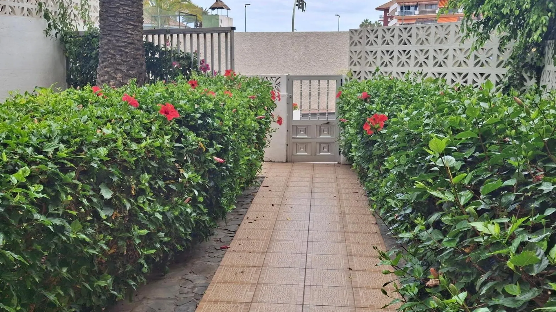 Apartman Luminoso Y Tranquilo Estudio Zona Botanico Puerto de la Cruz